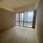 luxury big size flat for rent